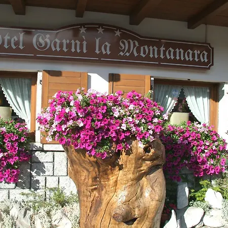 Garnì La Montanara 3* Madonna